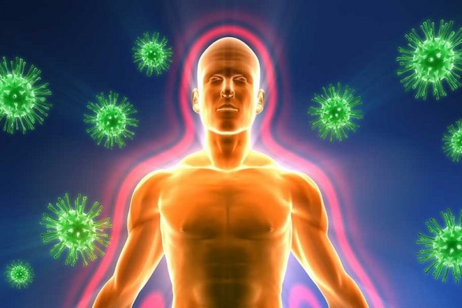 Учёные узнали, почему иммунитет слабо реагирует на возбудителя опасной инфекции